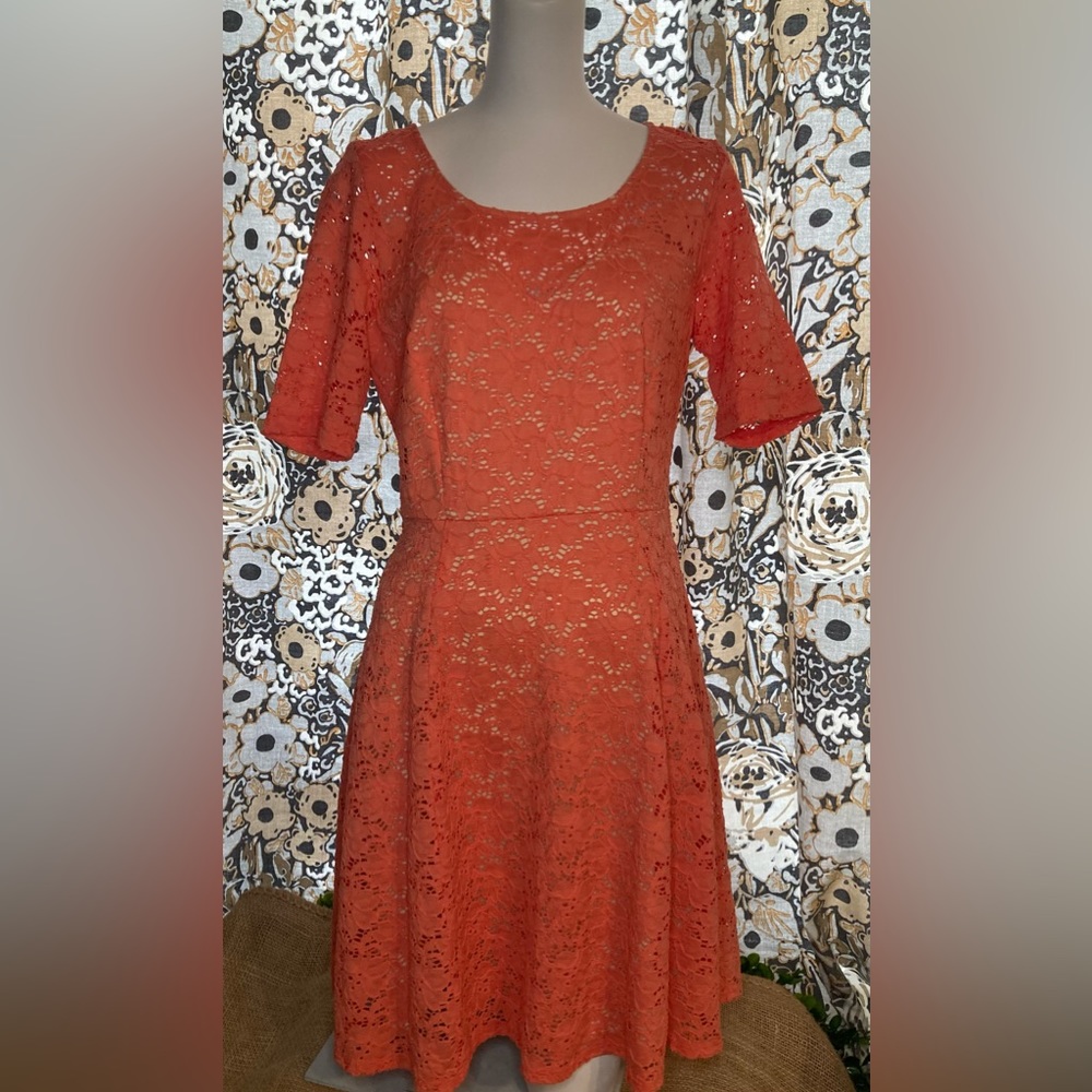 Chris McLaughlin size 10 dress